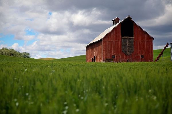 Washington State-Palouse Red barn in farm field